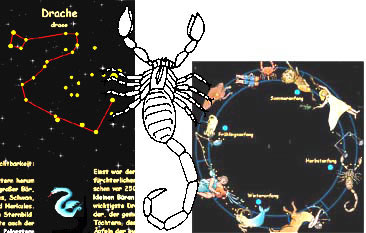 Tierkreiszeichen Sorpion, Drache