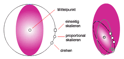 radialer Verlauf